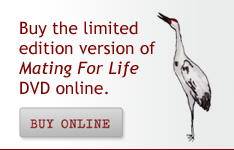 Mating for Life film dvd